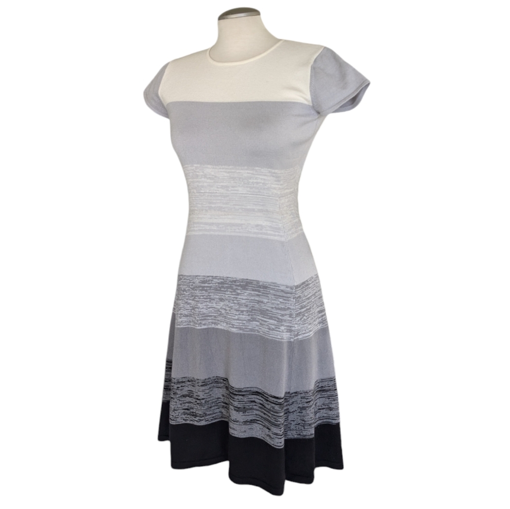 Philosophy Knit NWT Sweater Dress Colour Block Size Small Skater